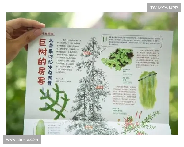 卷帘绿魔养护全攻略 深入探索其生态特性与生长奥秘