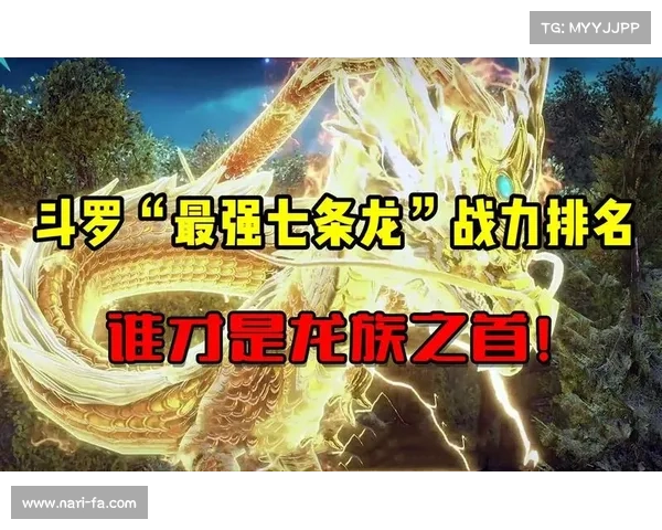 提升暗影骨龙战力的五大关键技巧助你轻松制霸战场